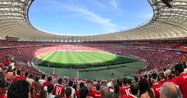 一支大家庭