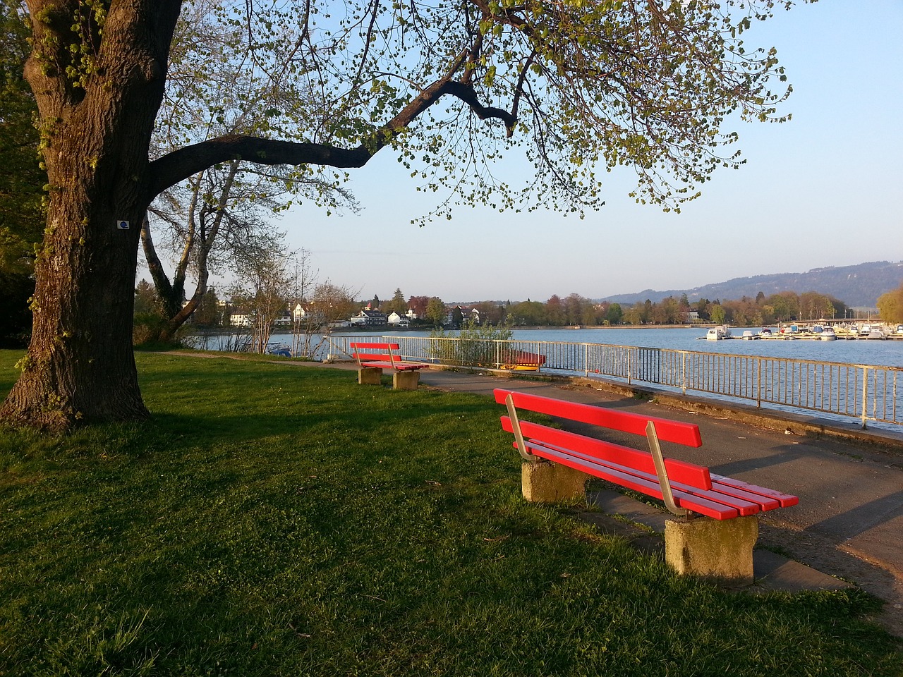 隨著賽季的 隨著賽季的