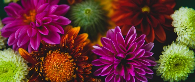 通往米兰冬 通往米兰冬