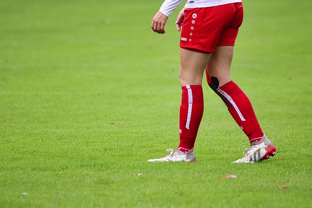 各大豪门球 各大豪门球